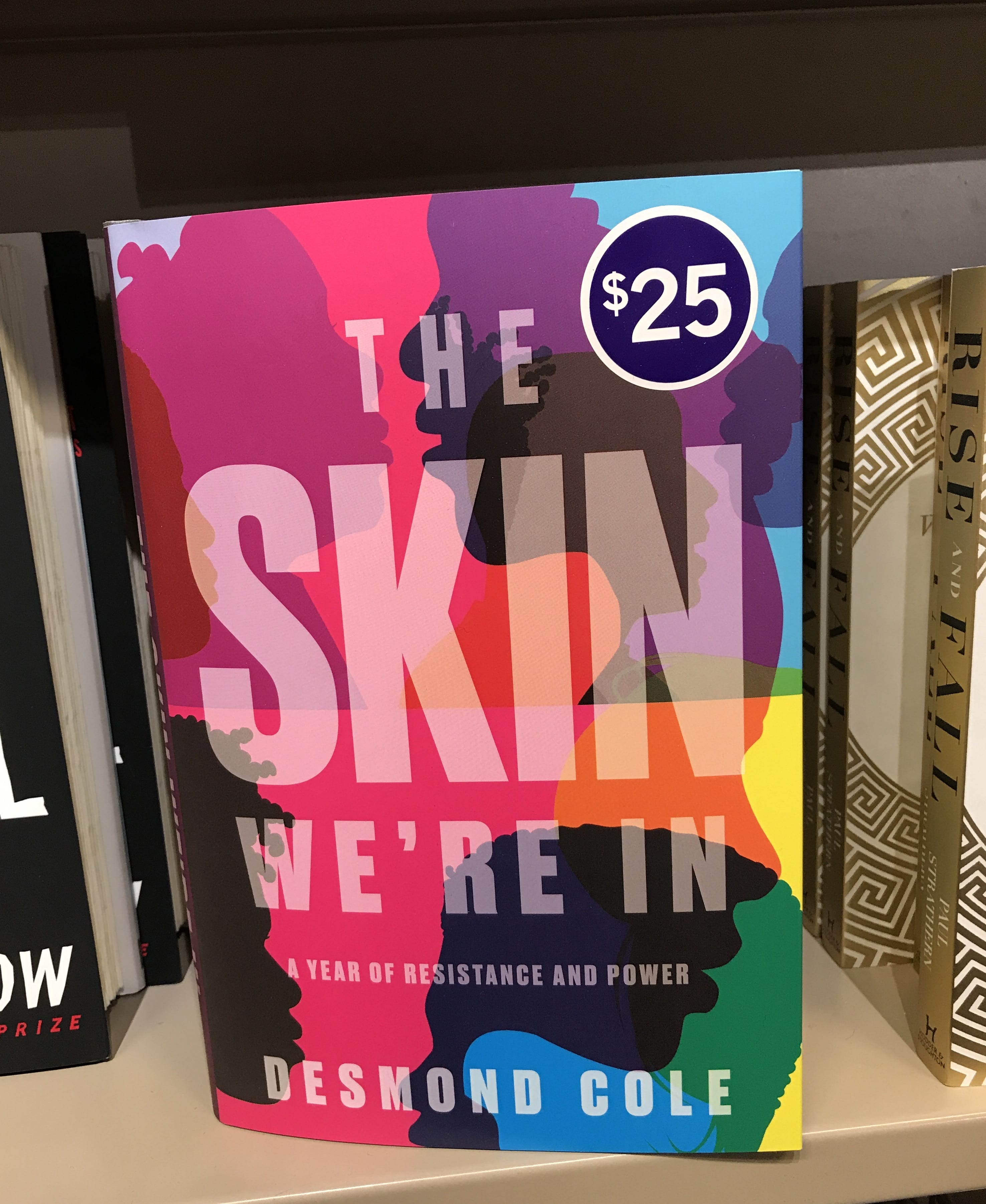 The hardcover of The Skin We're In is seen on the shelf at Indigo