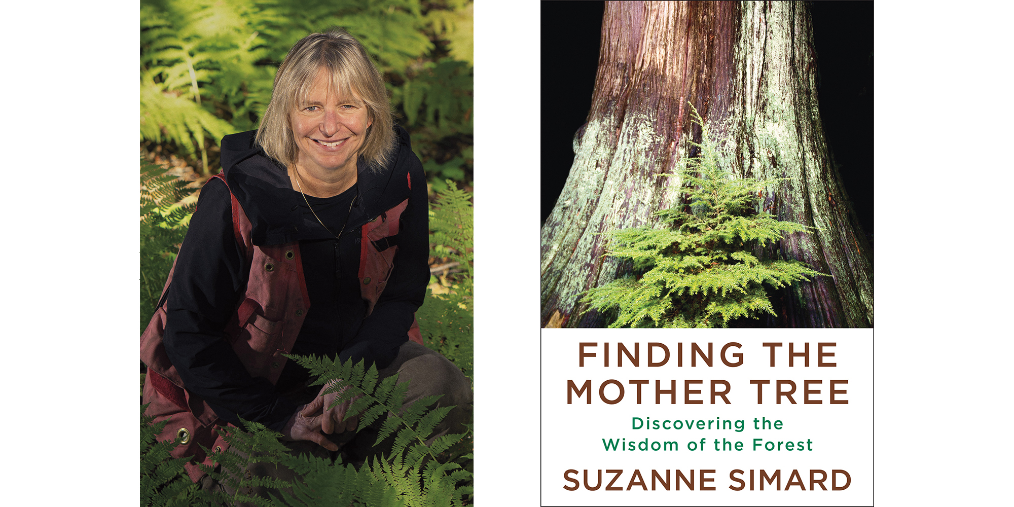 The cover of Suzanne Simard's Finding the Mother Tree with a photo of the author